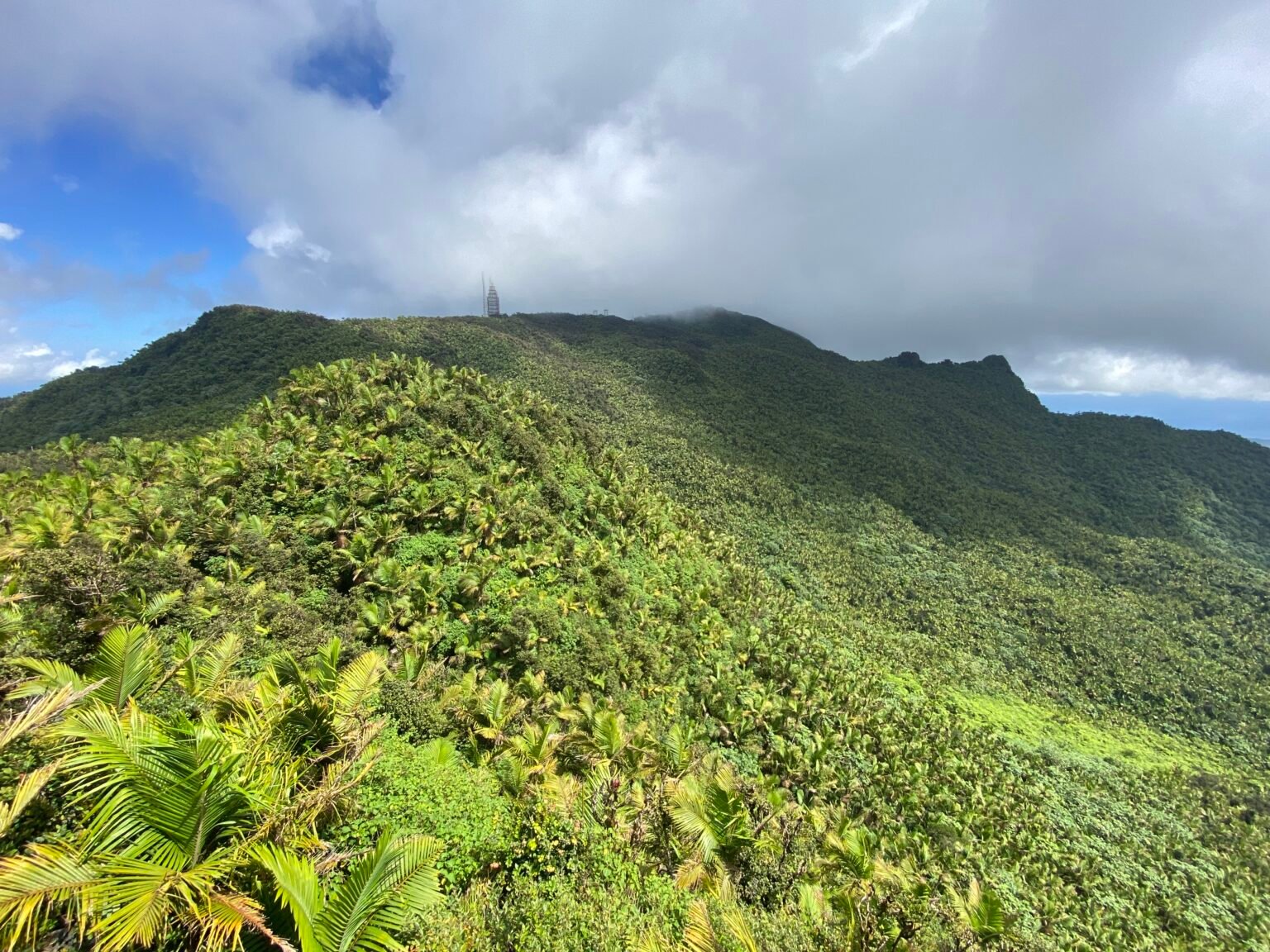 bosque nacional el yunque