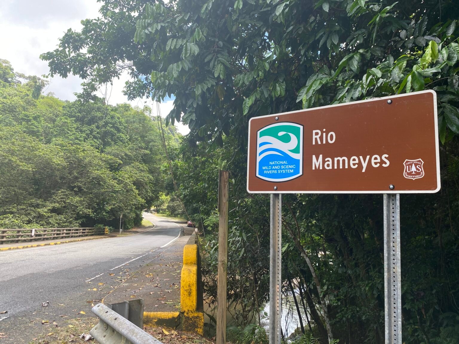 letrero del río mameyes ubicado a la orilla de la carretera PR 988 