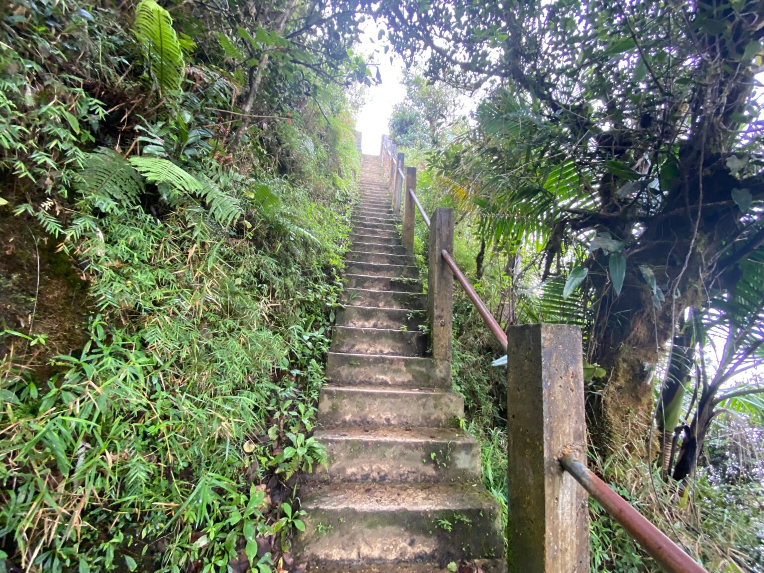 las escaleras que conducen a la plataforma de observación de la vereda los picachos