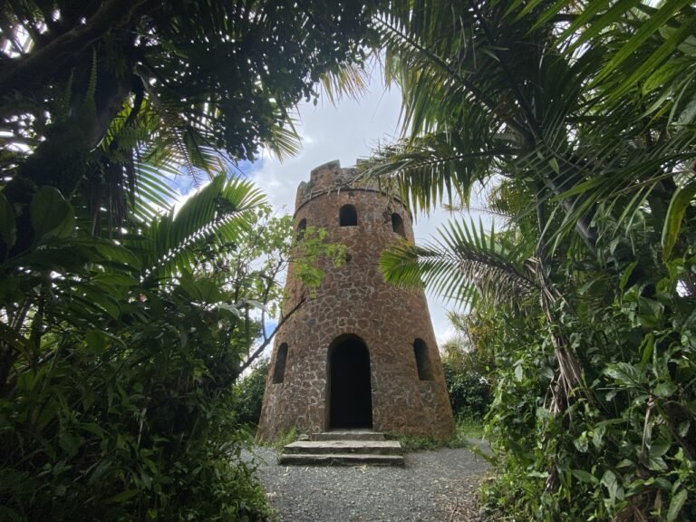 Guía de El Yunque 2026: cómo llegar y qué esperar