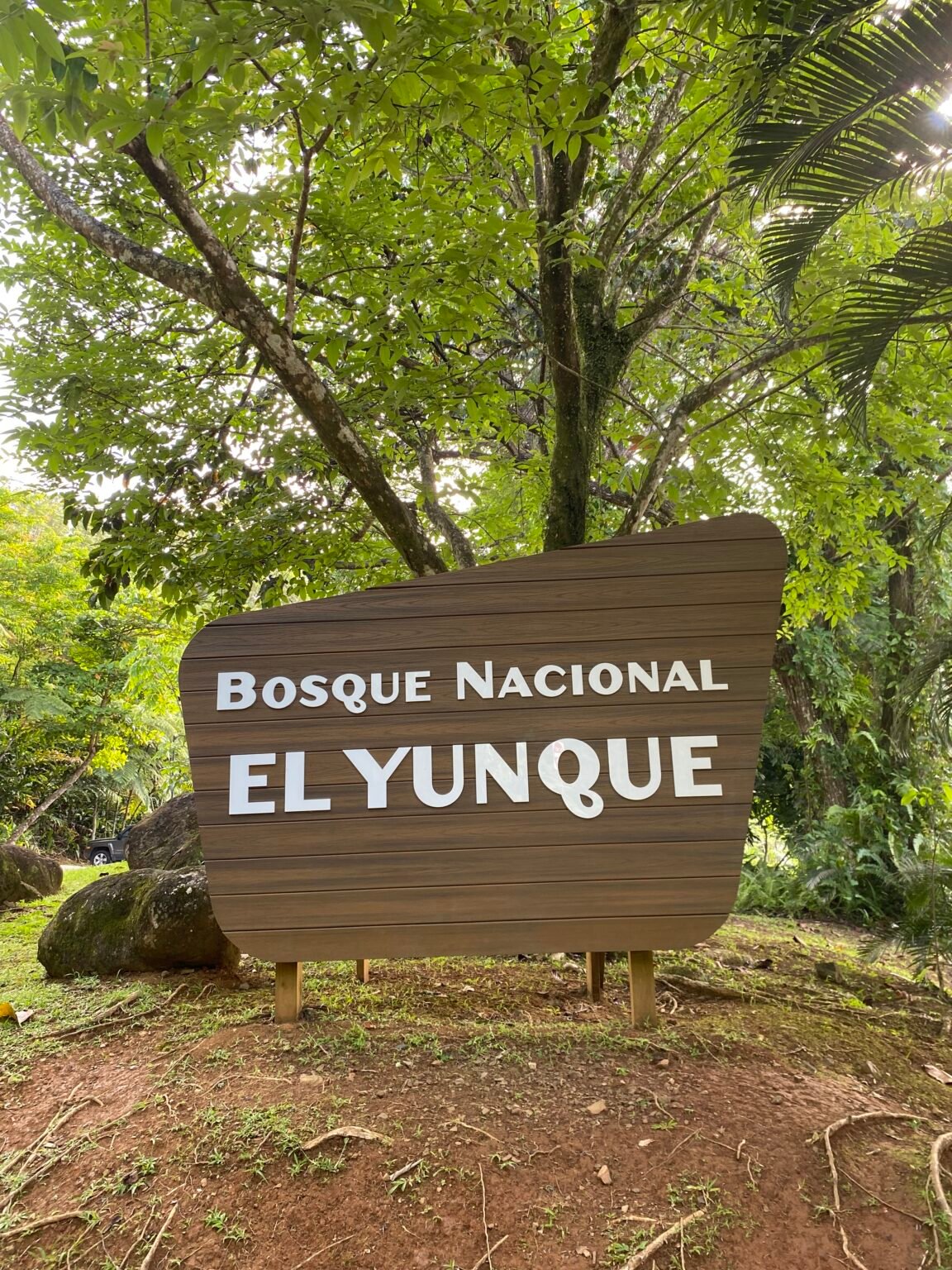 letrero del bosque nacional el yunque