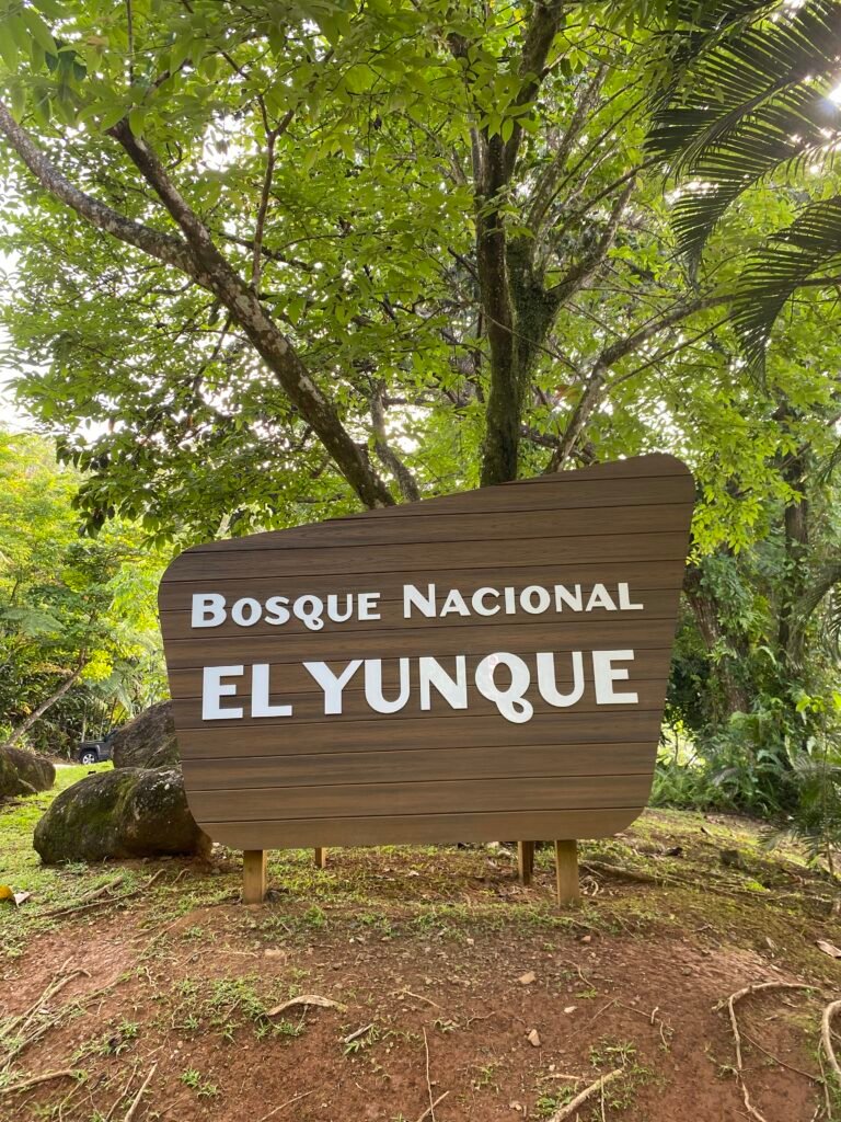 letrero del bosque nacional el yunque