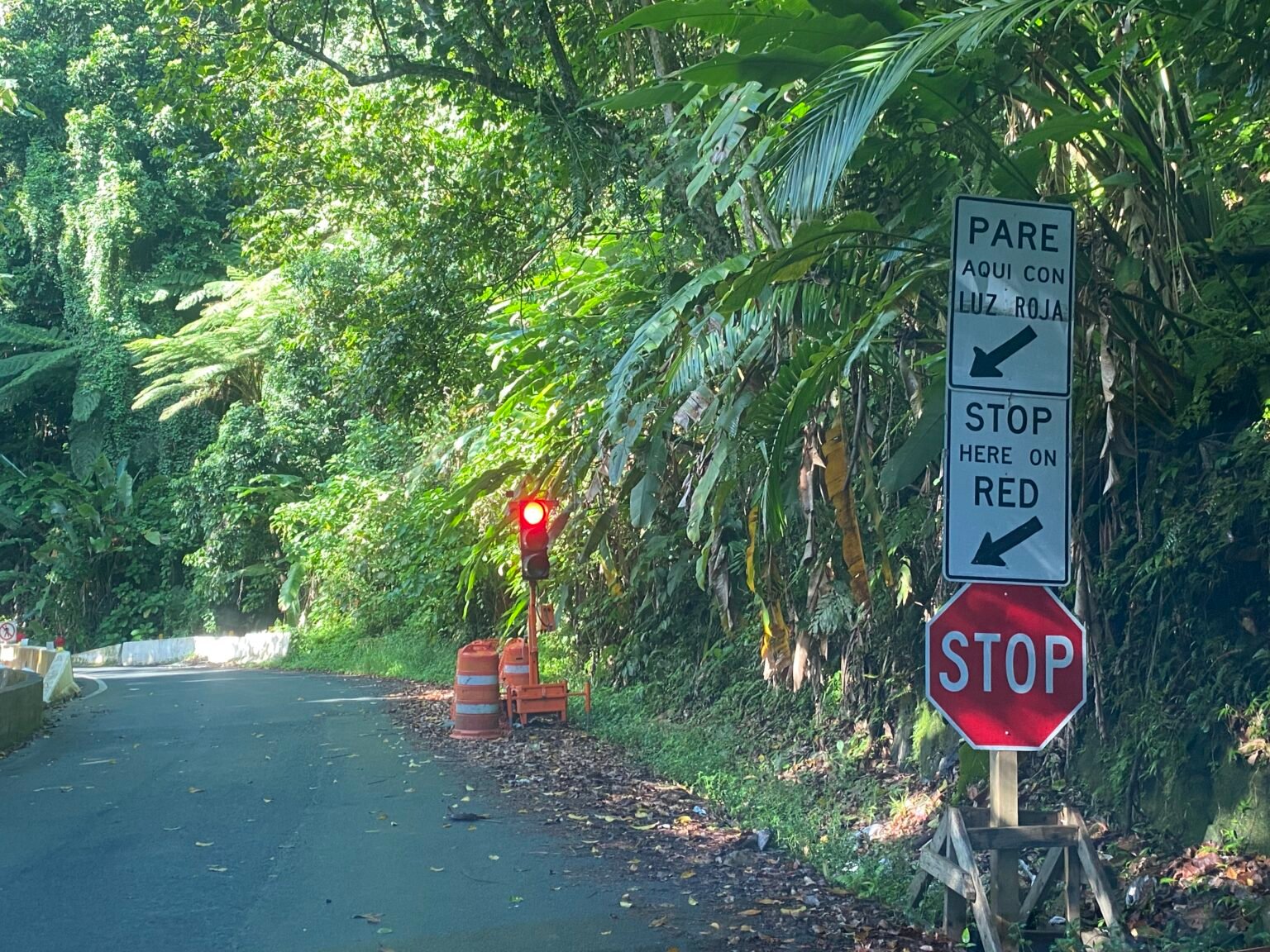 letrero de pare y semáforo en rojo en la carretera PR-191