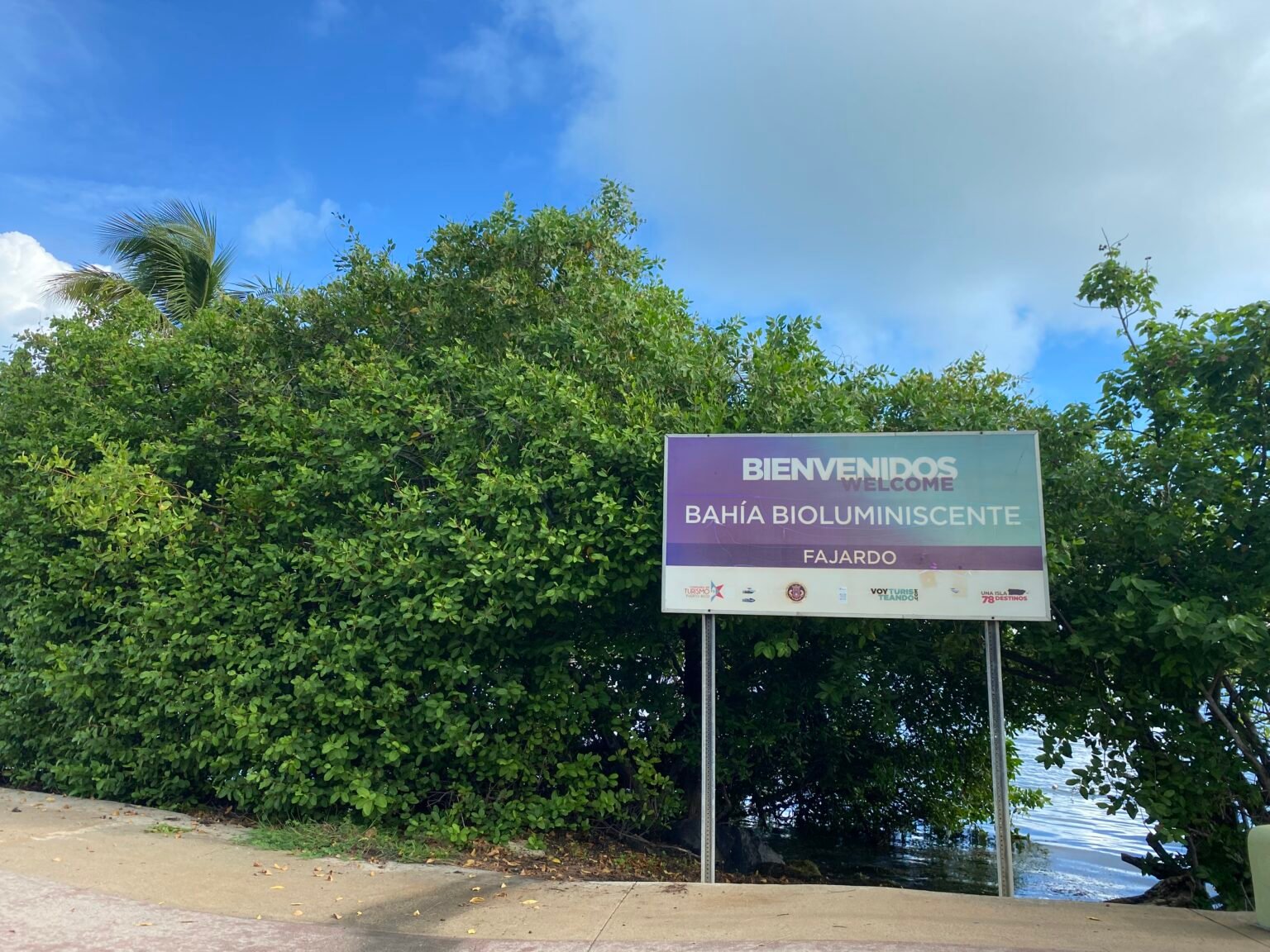 letrero de la bahía bioluminiscente laguna grande en fajardo
