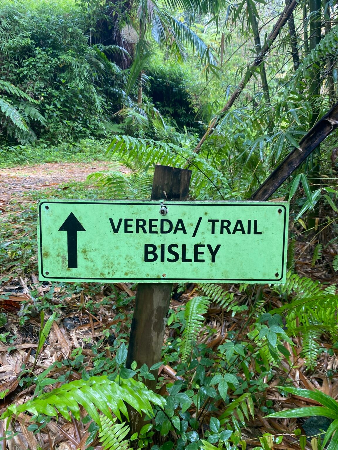 letrero de color verde indicando el comienzo de la vereda Bisley