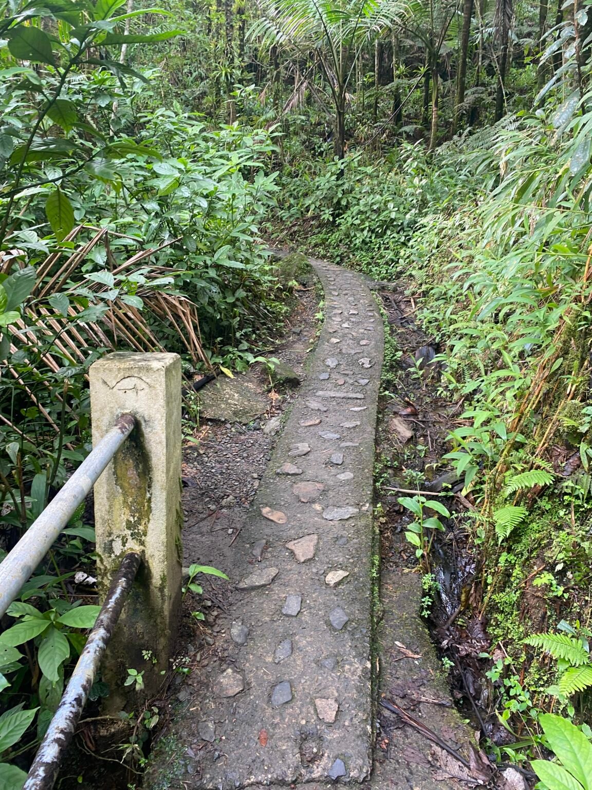 senderos pavimentado hacia la vereda de mount britton