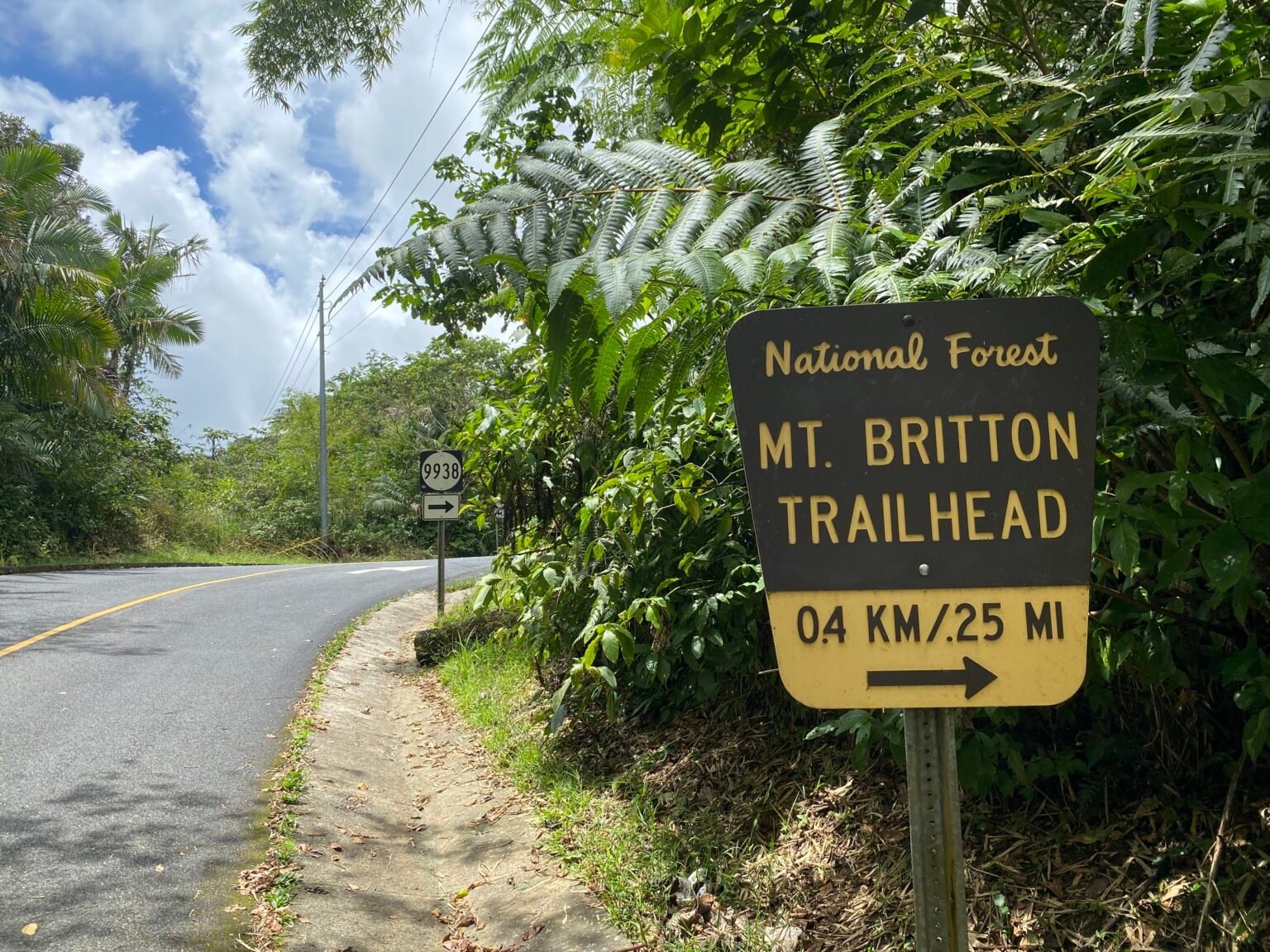 letrero oficial del servicio forestal indicando el comienzo de la vereda mount britton