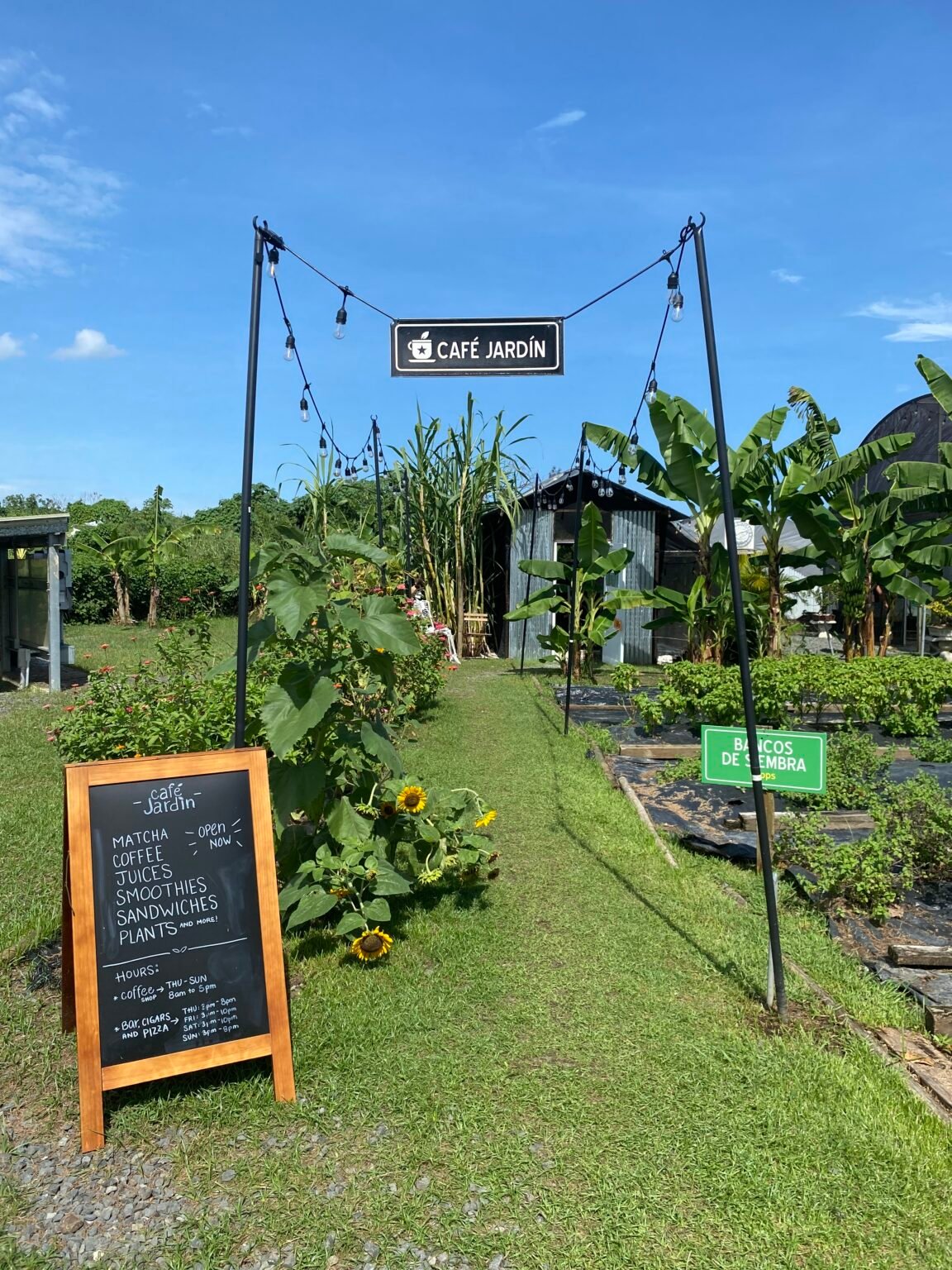 La entrada al Café Jardín. Tiene una pizarra con el menú, bombillas y plantas.
