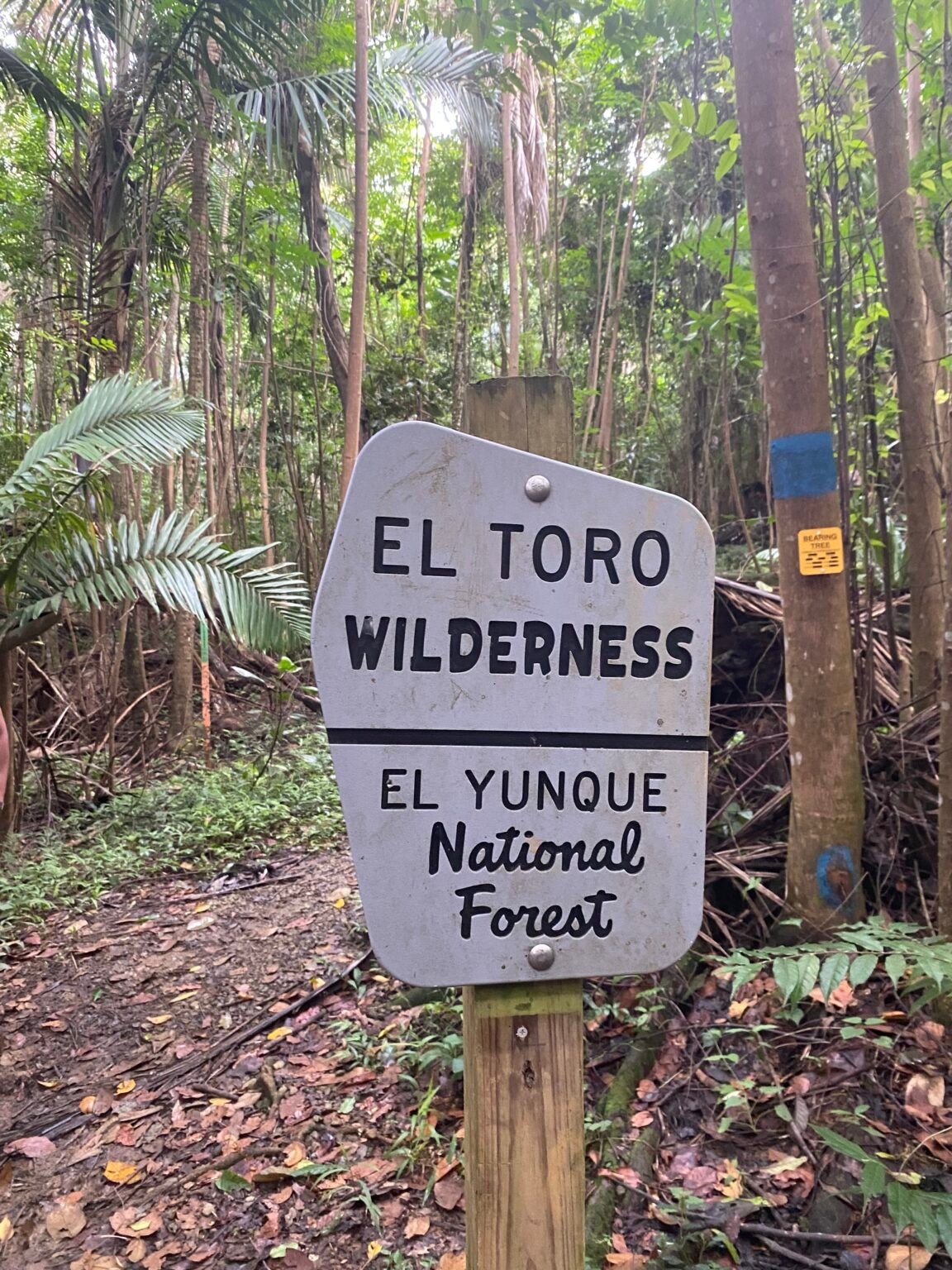 letrero del Servicio Forestal indicando la entrada al área silvestre dentro de la vereda El Toro