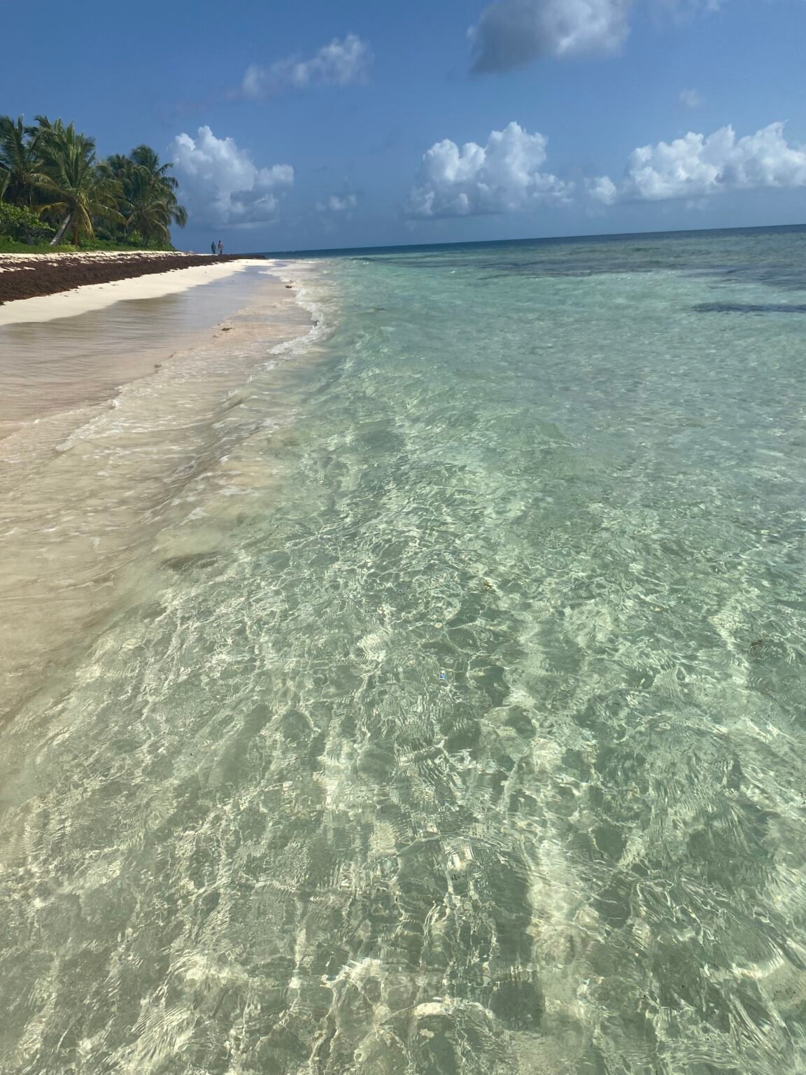 aguas cristalinas a orillas de la playa flamenco
