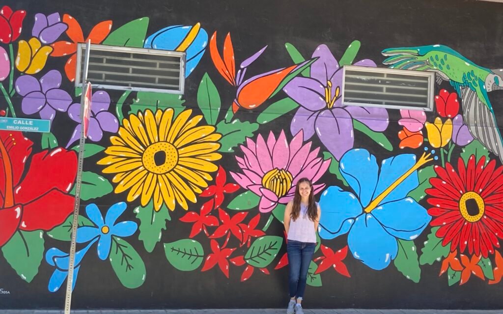 mural de flores de colores en la plaza de isabela