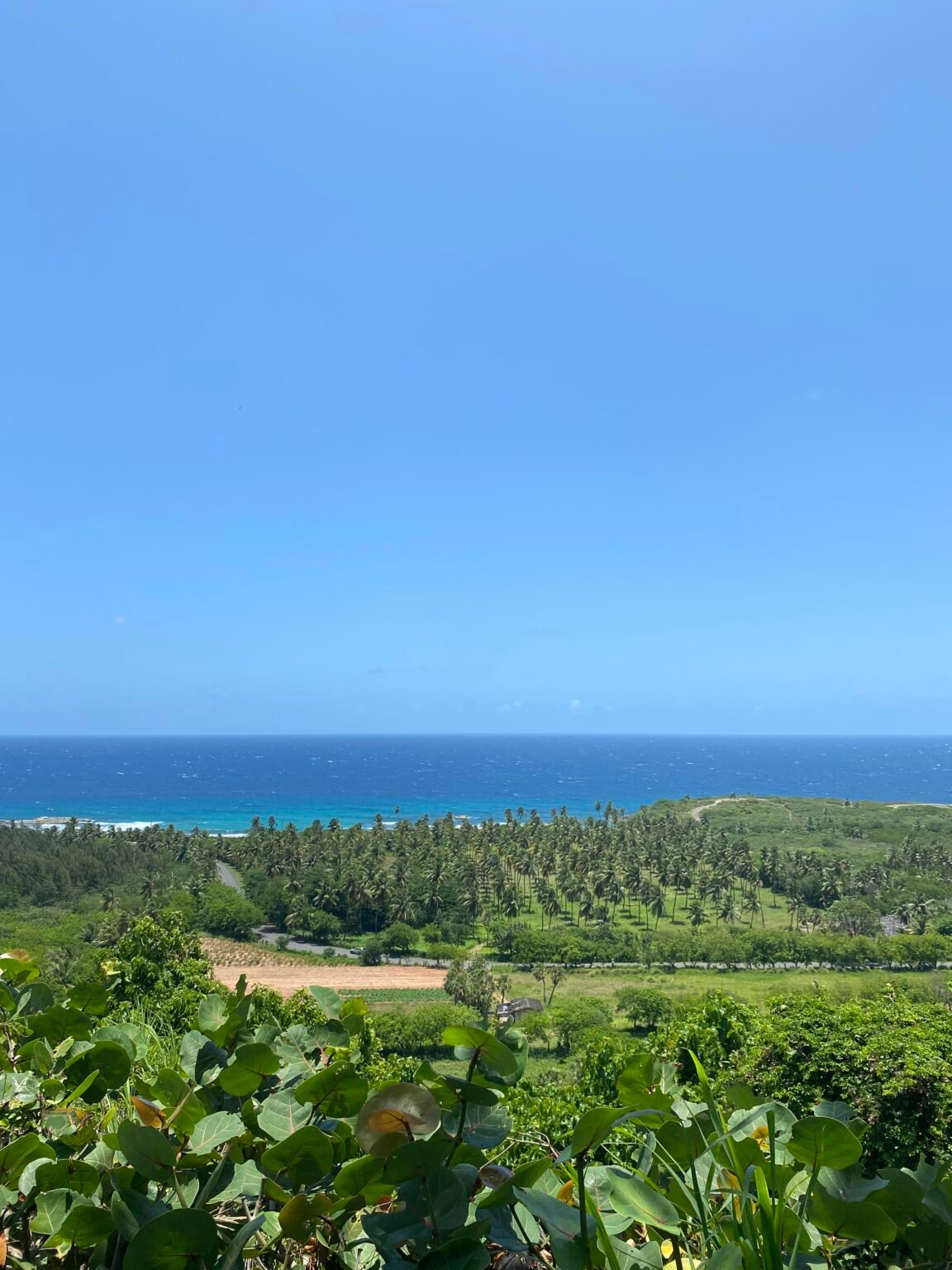 vista de la costa de Isabela hacia el Océano Atlántico