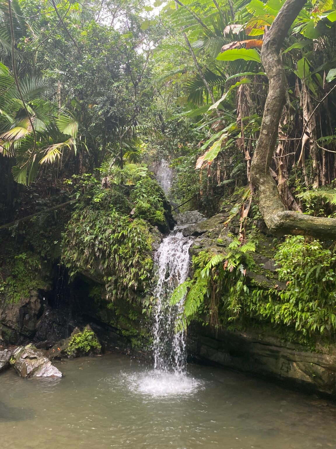 La primera cascada dentro de la quebrada Juan Diego. Esta es la cascada más pequeña.