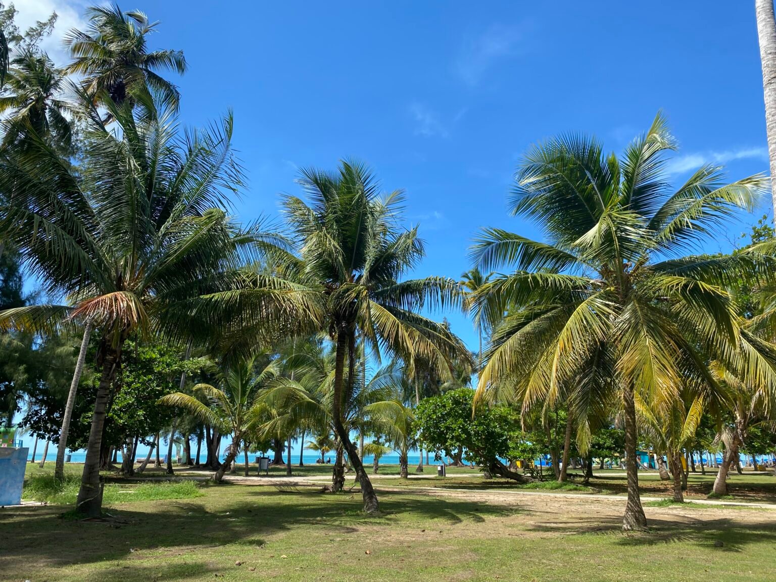 las palmas del balneario la monserrate en luquillo puerto rico