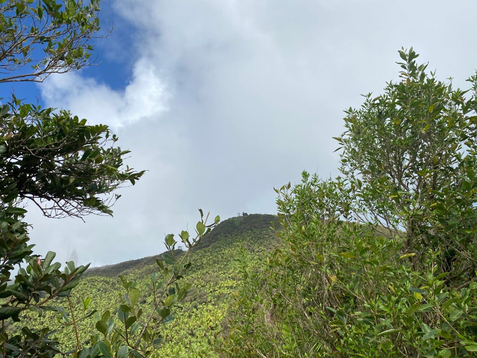 vista hacia la torre britton desde los picachos