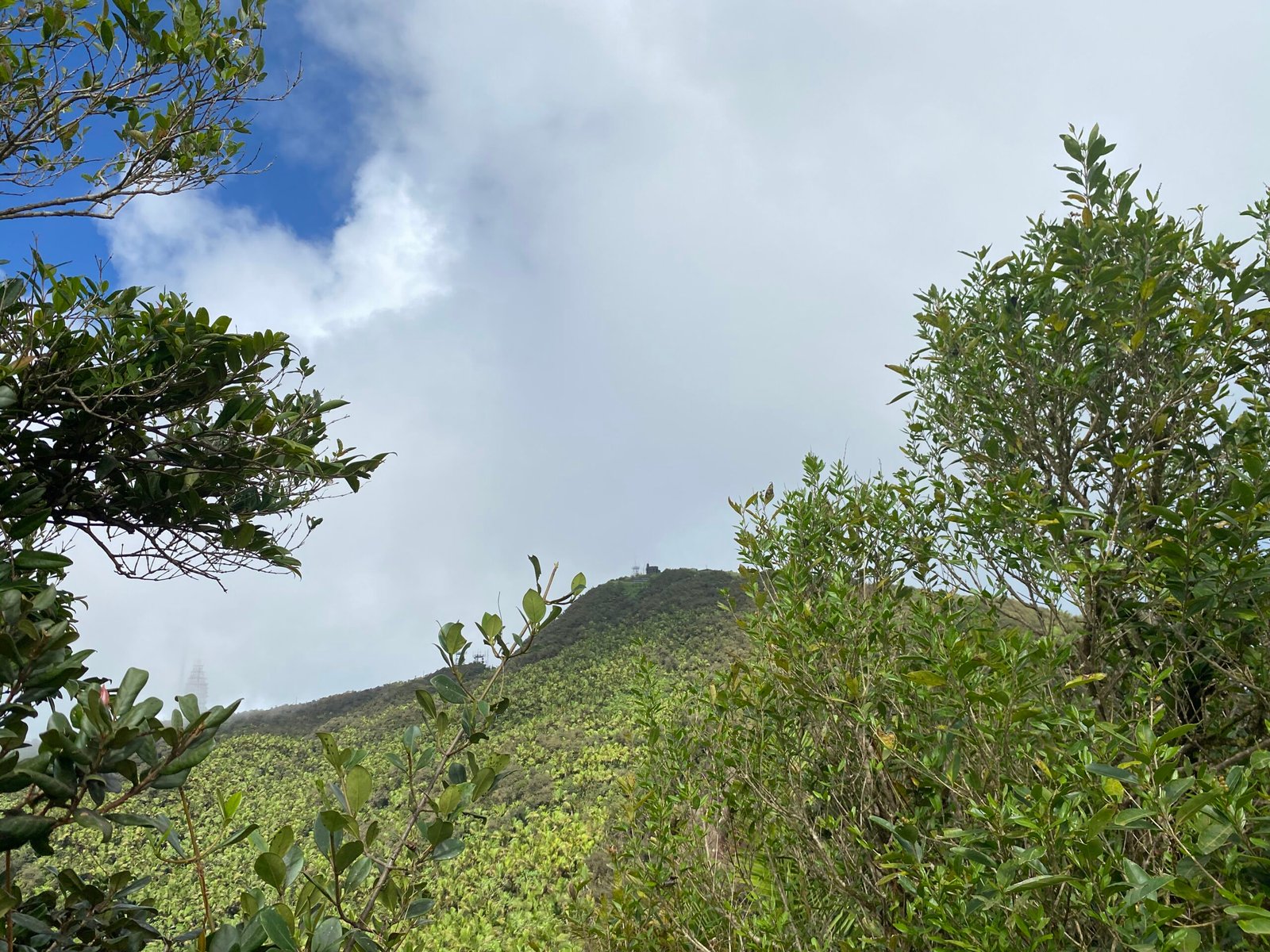 vista hacia la torre britton desde los picachos