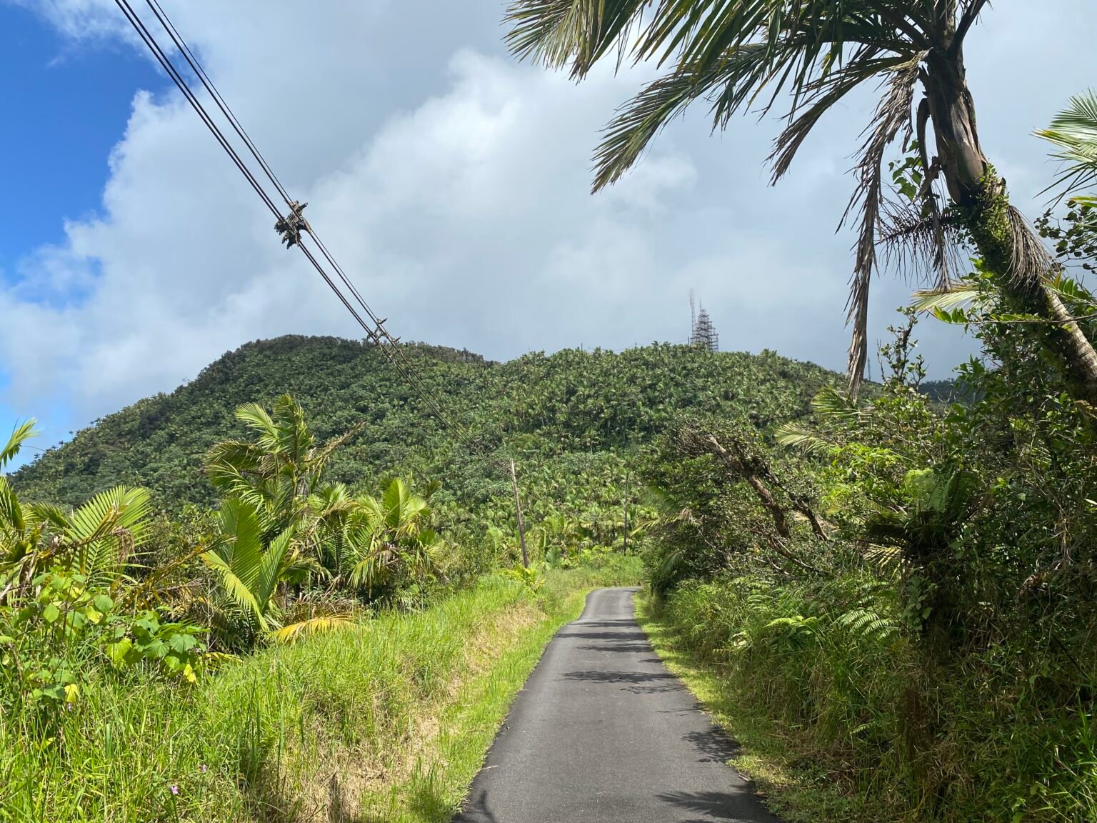 carretera pavimentada que conduce a pico el yunque