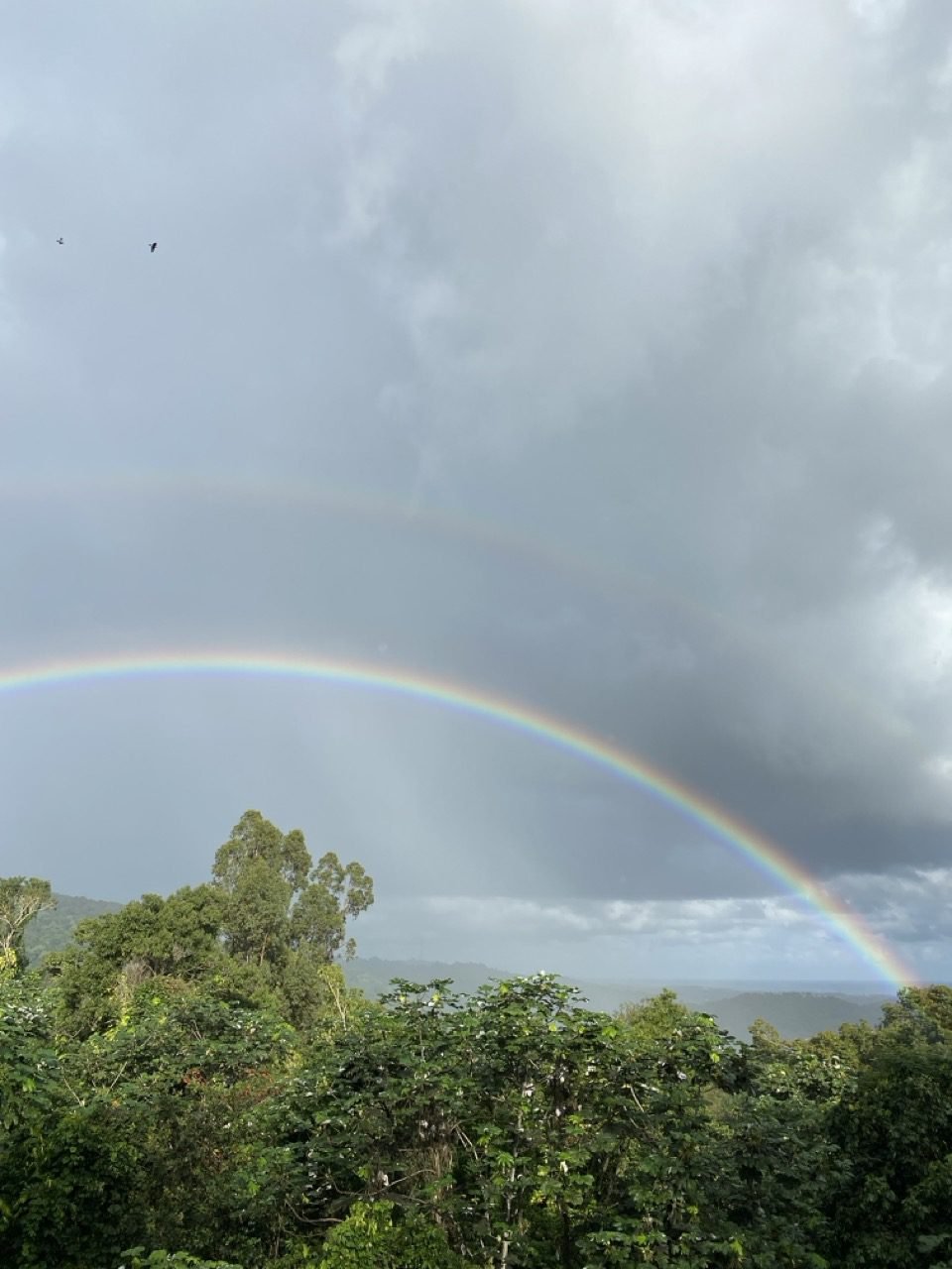 un doble arcoiris en el cielo nublado