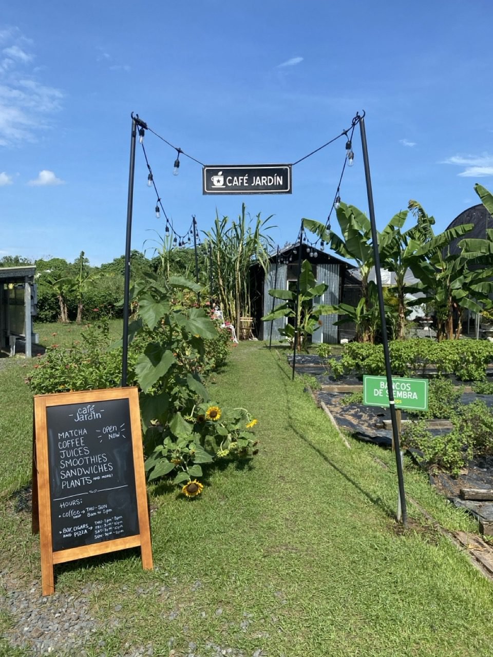 La entrada al Café Jardín. Tiene una pizarra con el menú, bombillas y plantas.
