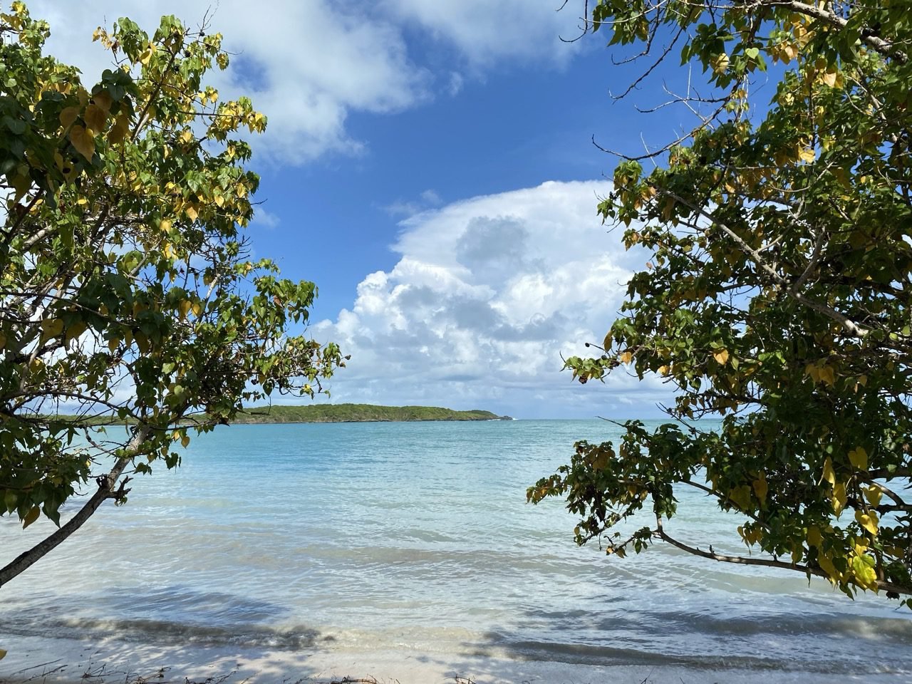 la playa de ensenada yegua