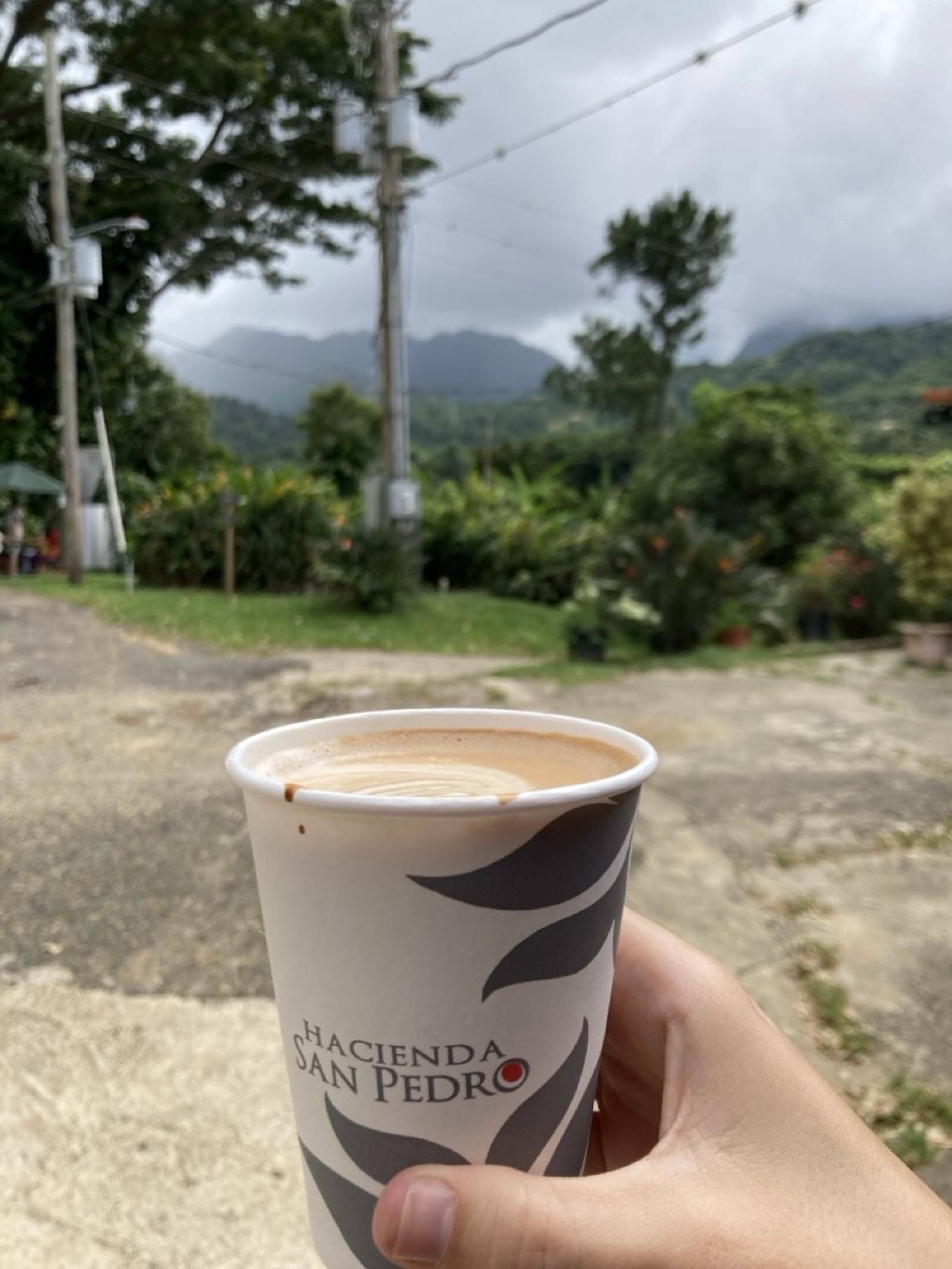 vaso de café en un día nublado