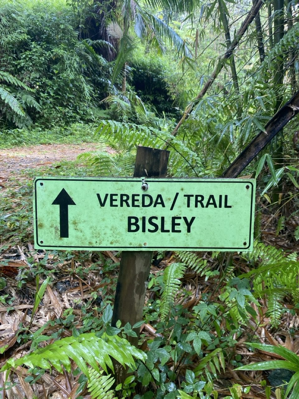 letrero de color verde indicando el comienza de la vereda bisley