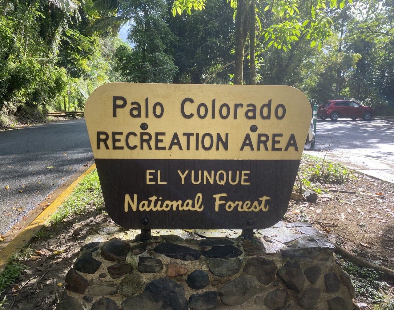 letrero de palo colorado