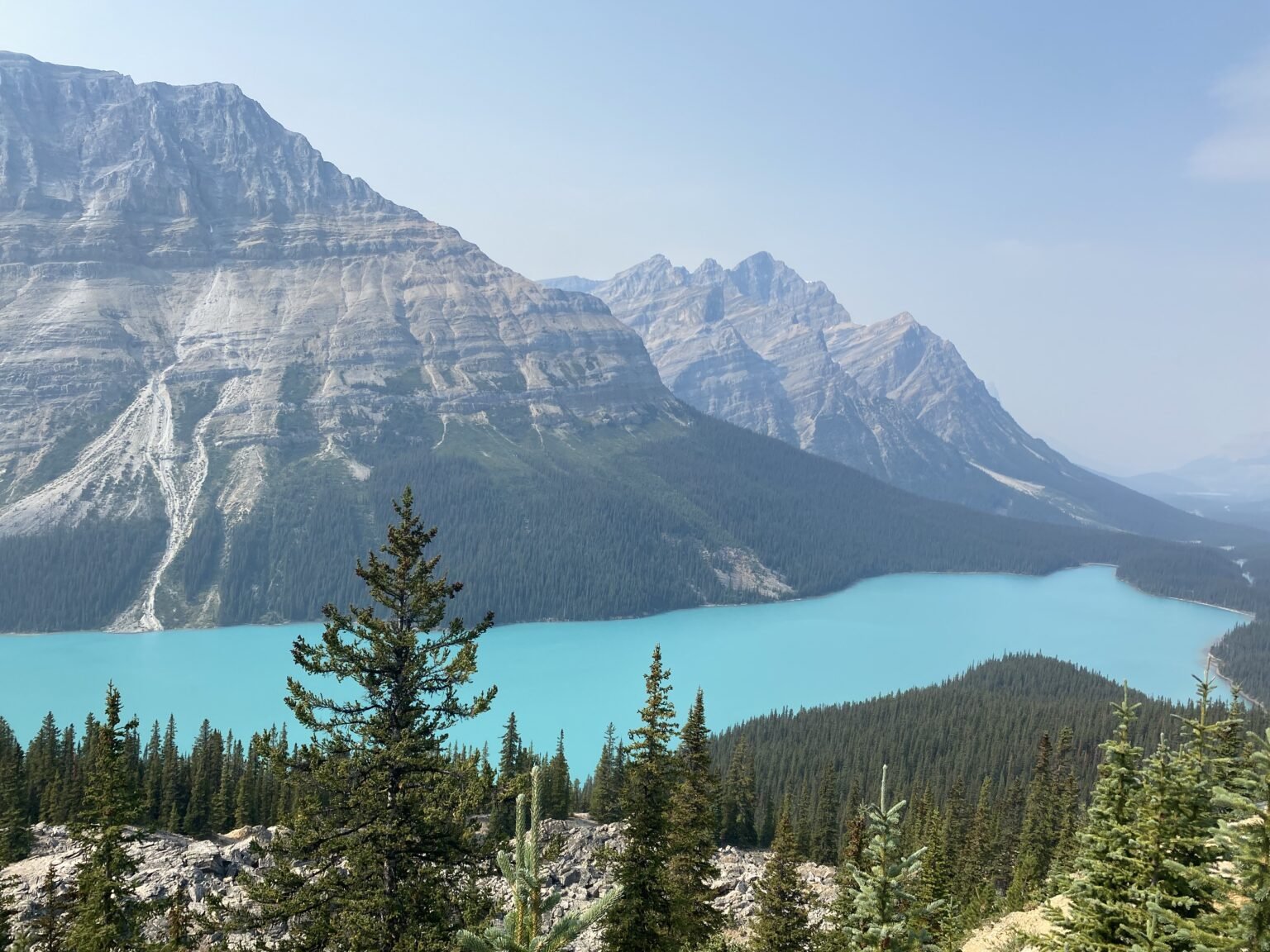 el lago peyto cuya forma parece la silueta de un lobo