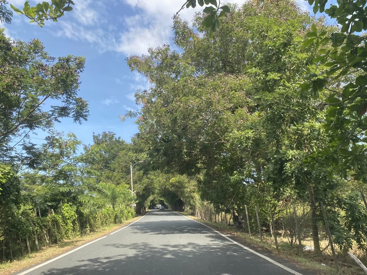 la carretera pr-187 en río grande