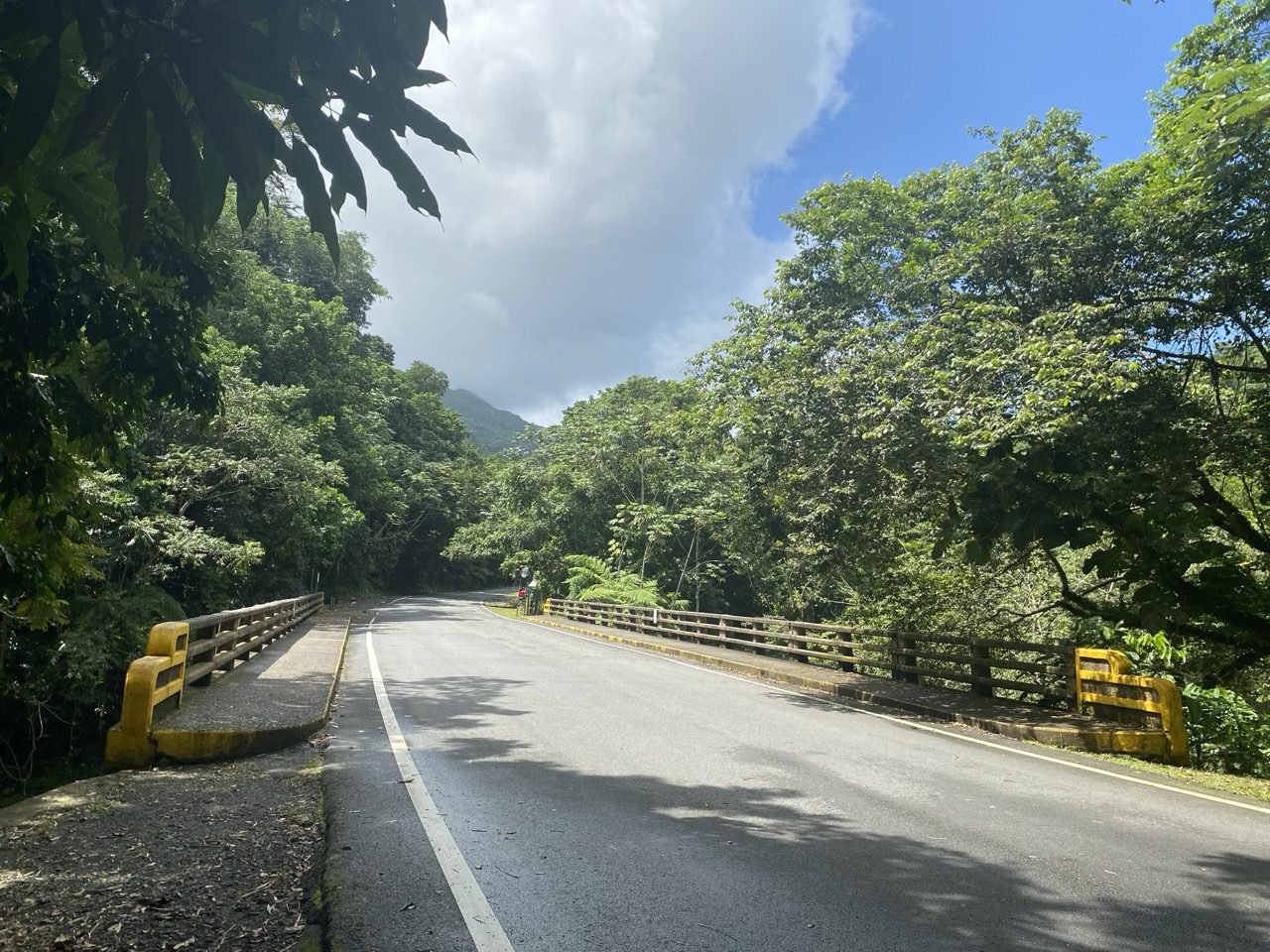 la carretera PR-988 y puente roto