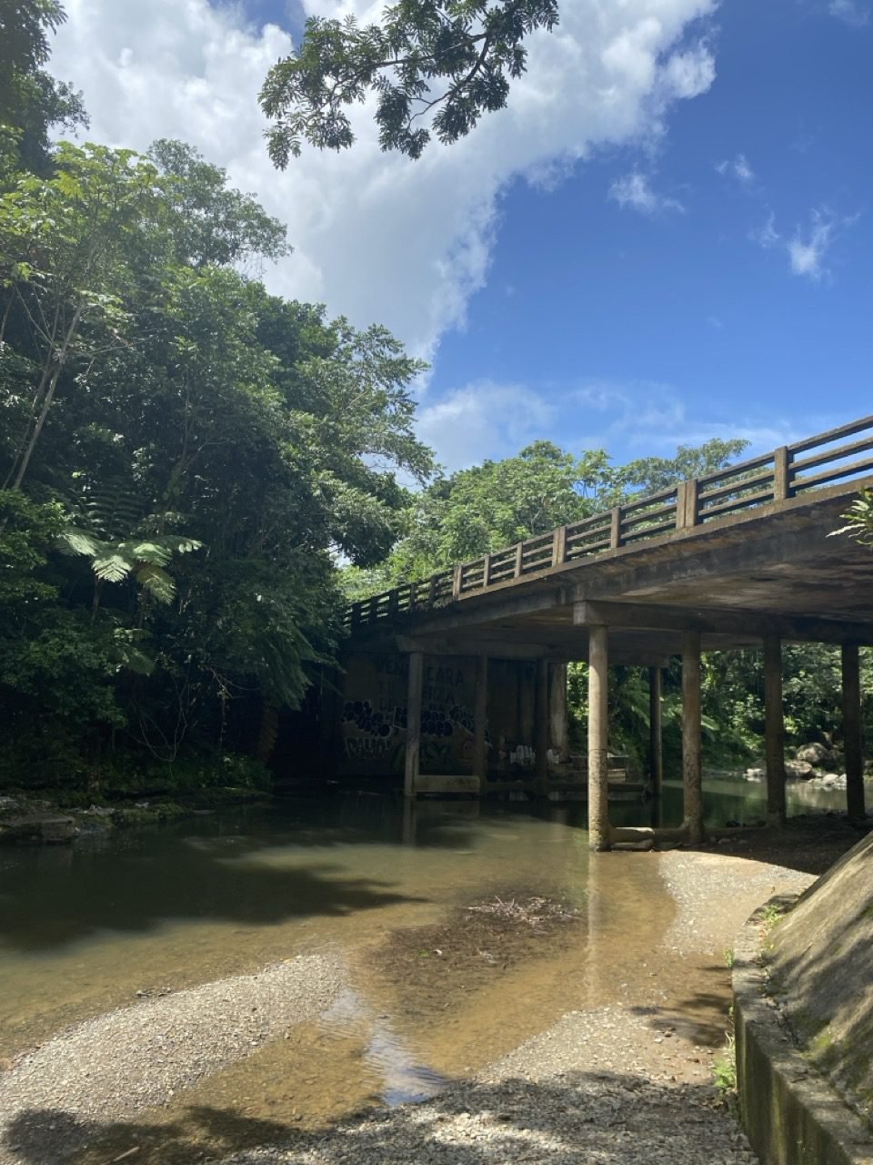 puente roto y el rio mameyes