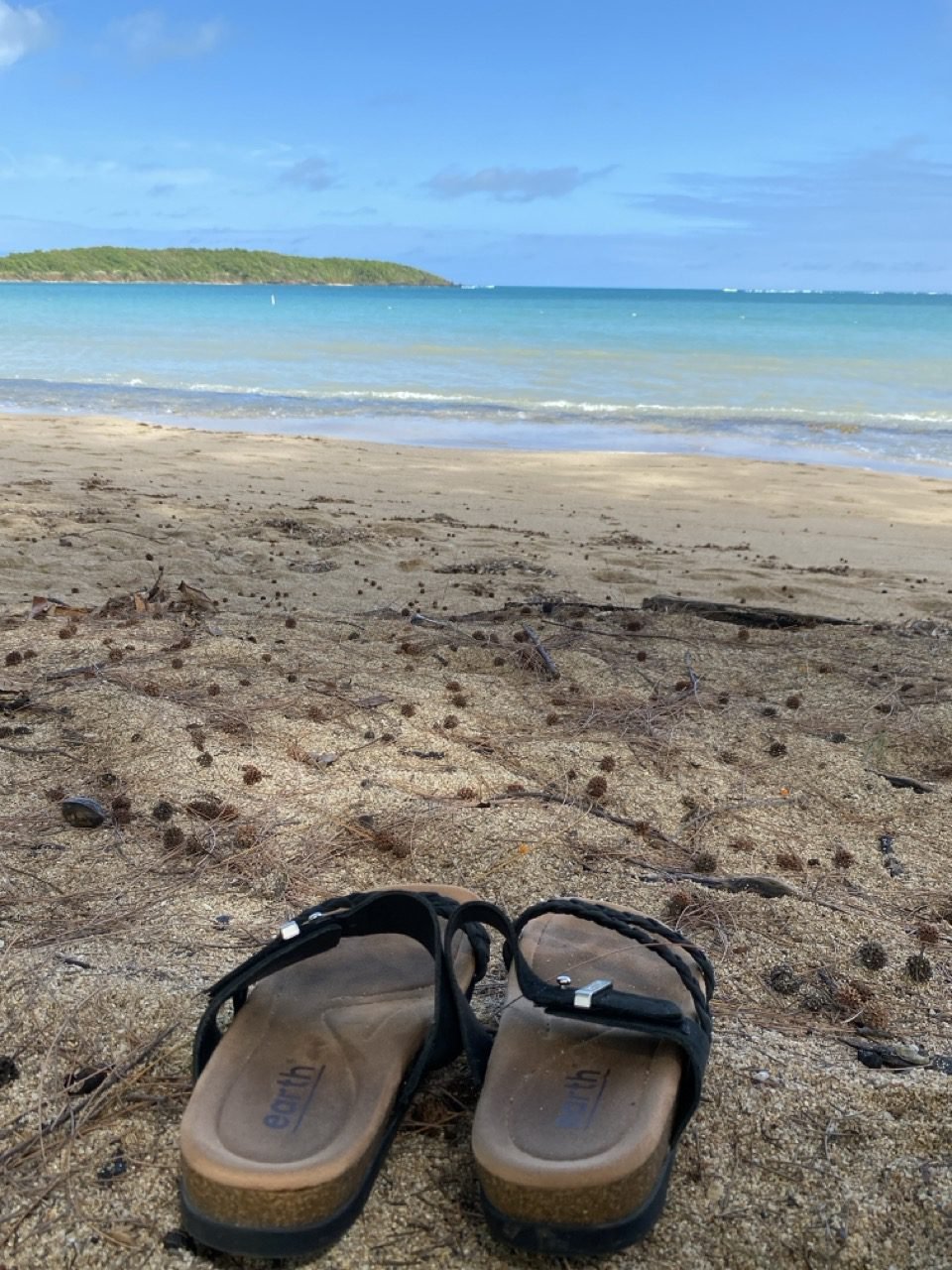 un par de sandalias en la arena y la playa seven seas