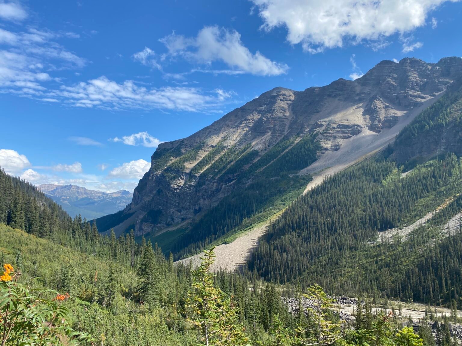 vista hacia las montañas desde el sendero plain of six glaciers en el área del lago louise 