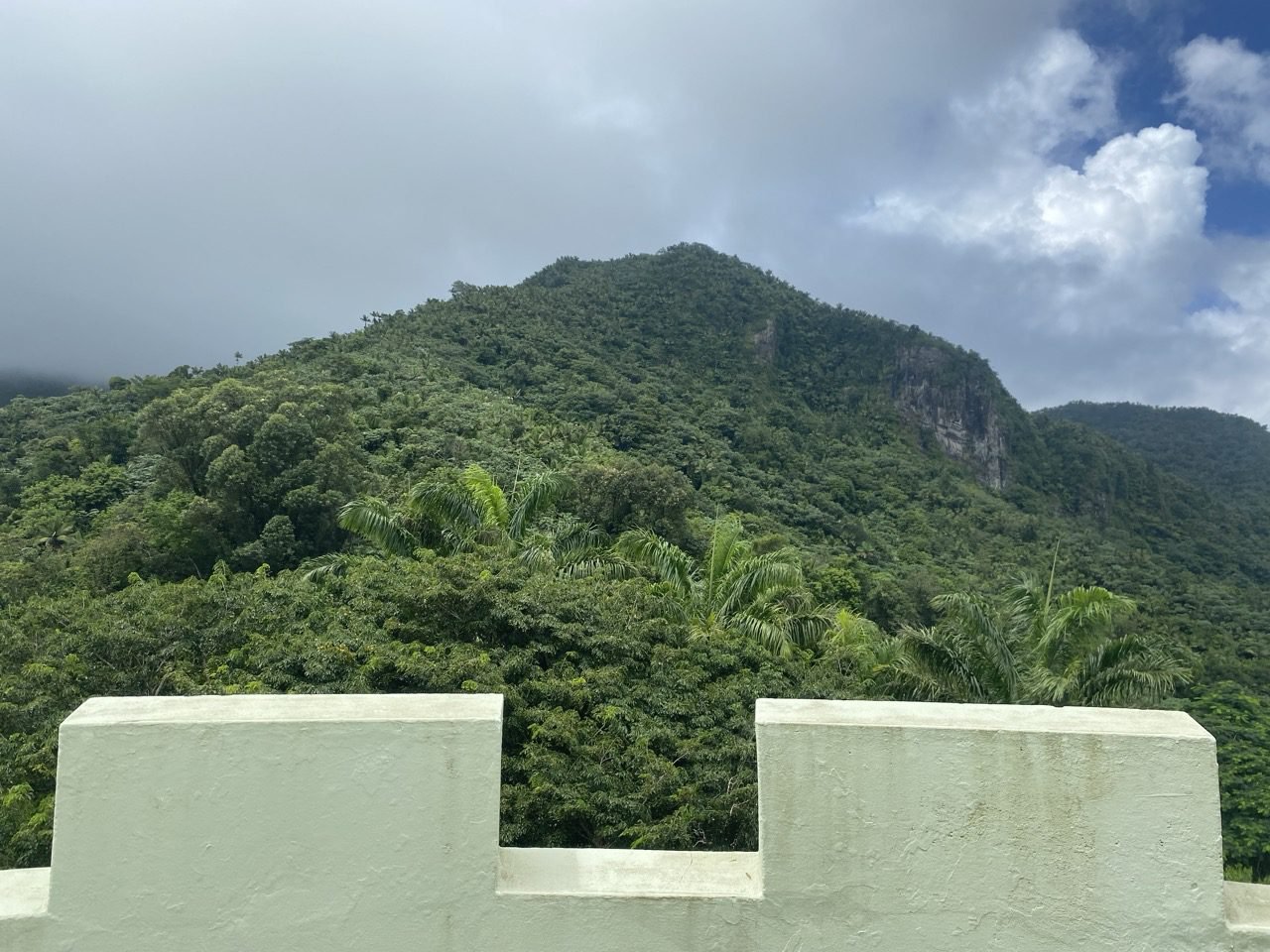 vista hacia El Yunque desde la parte más alta de la torre Yokahú