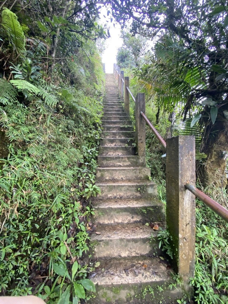 las escaleras que te llevan a la plataforma de la vereda los picachos