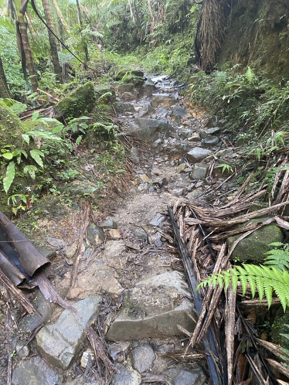 el camino designado hacia los picachos lleno de lodo y rocas